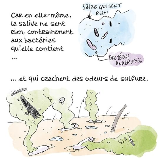 SALIVE-COuleurs08 copie