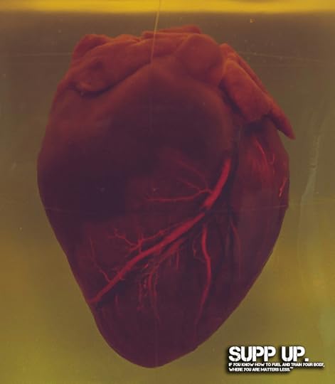 Image of an anatomically correct heart in a solution