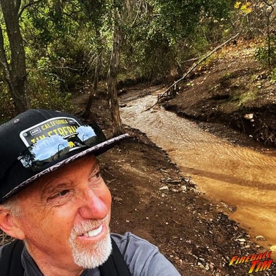 Fireball Tim Automotive Pop Culture Art