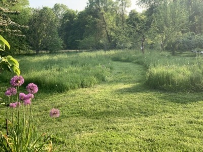 Lush meadow above ground, rich soil below ground