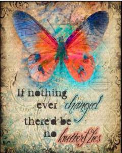 Poster: If nothing ever changed there would be no butterflies