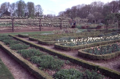 Pear espaliers at St. Jean de Beauregard