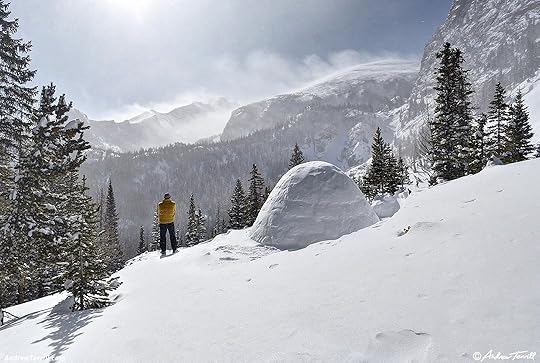 igloo - 7 march 2026