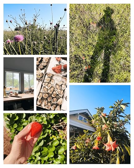 The Bakehouse Almanac, April 2026