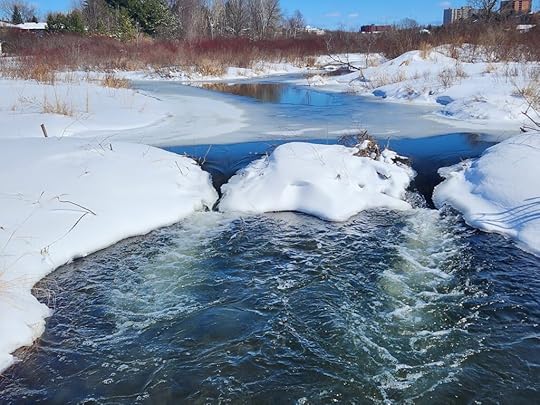 A beaver dam in a winter creek.