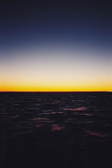 Wolfgang Tillmans, <em>Fire Island</em>, 1995″>		</div>		<div class=