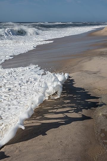 Wolfgang Tillmans, <em>Hermine, a</em>, 2016″>		</div>		<div class=