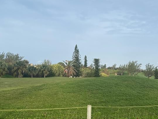 Green hill and trees
