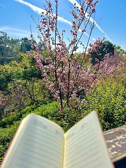 photo of a notebook with a cherry blossom tree in the background and a blue sky