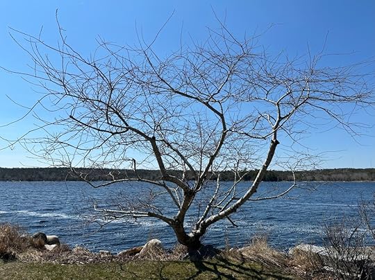 Shelburne, NS