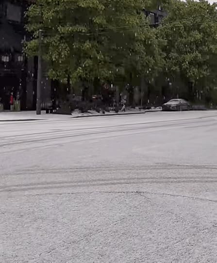 city streets lined with trees in full leaf and the roadway covered in hail like snow