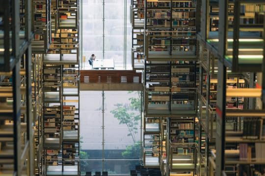 Image: at a library in Ciudad de México, the floor is so highly polished that the book stacks and windows are reflected, creating a somewhat surreal and confusing scene. A single visitor is seated at a table in the center.