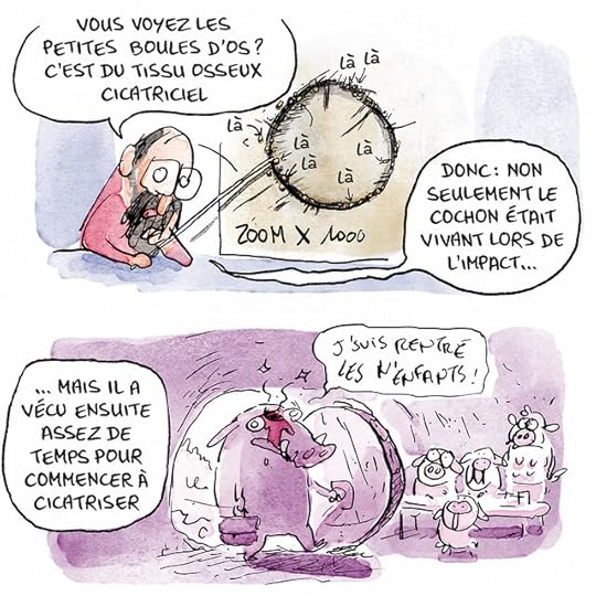 tete-sanglier00012 copie 2