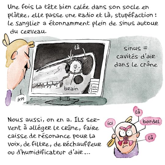 tete-sanglier00025 copie