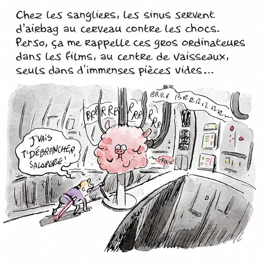 tete-sanglier00026 copie 2