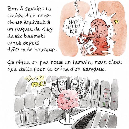 tete-sanglier00028 copie 2