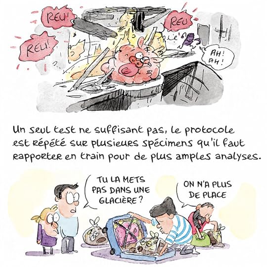 tete-sanglier00034 copie 2