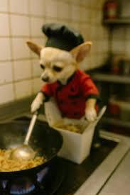 Brainrot Video on Dog | TikTok