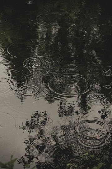 This may contain: raindrops floating on the surface of a pond with trees reflected in it's water