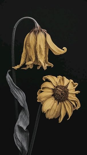 Story pin image