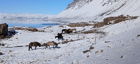 Land of Horses, Viking Film Sets and Tourist Information Centres. this is the horses.