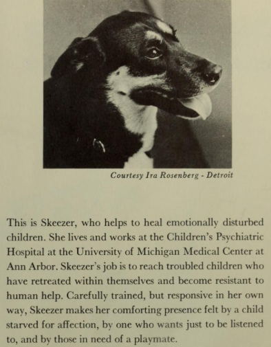 skeezer
