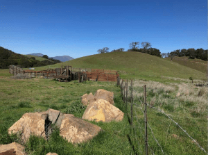 picture of green hills and sky