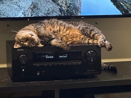 cat on an audio receiver with his head upside down