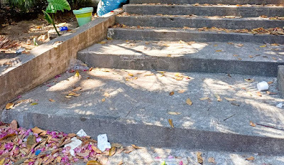 Leaves, dirt, and debris on the Stairs and in the Garden Under the Puerto Vallarta Romantic Zone Protected Tree at Púlpito and C. Rodolfo Gómez.