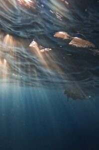 Diving Beneath Patriarchal Conditioning