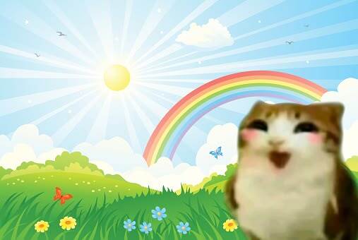 Picture of a rainbow and meadows with blushing cat