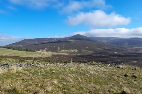 A view of the Skiddaw Forest area (which has next to no trees) from the ascent path of Lonscale Fell.