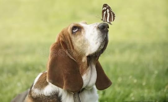Heather Cullen Blog Exotic Beasts - the Options Zoo