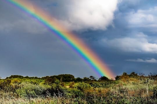 rainbow over green grass field