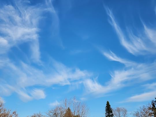 A sky with windswept clouds.