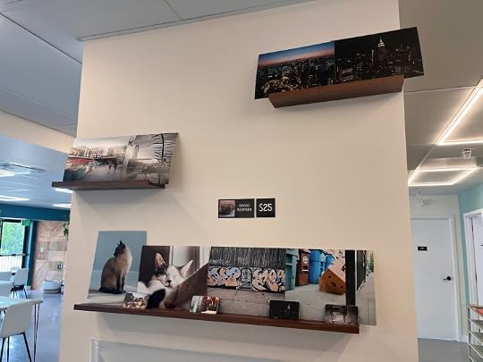 Photographs on a wall in a cafe