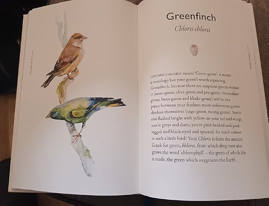 the Greenfinch 