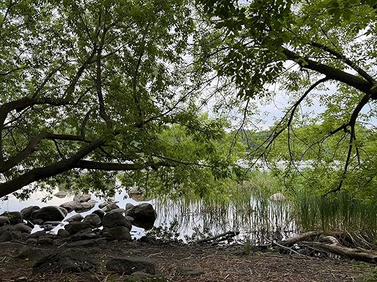 Letter of News: THE RIVER HAS ROOTS wins Locus and Nebula Awards