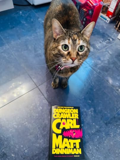 Cat looking at Dungeon Crawler Carl book