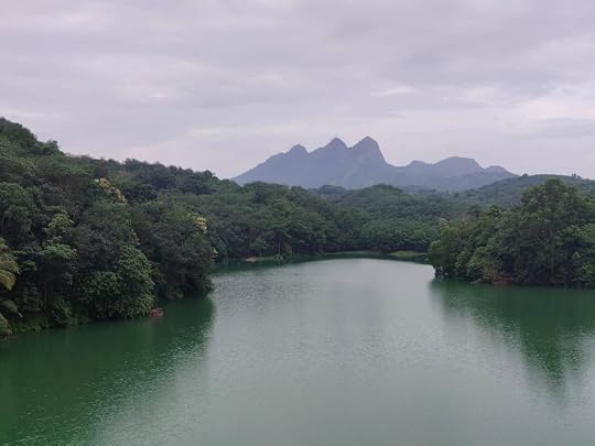 View from Kumbichal Kadav Bridge
