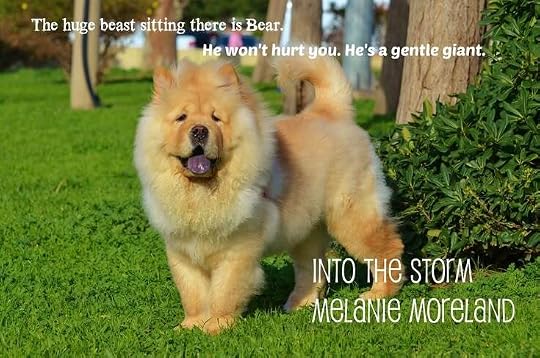Story pin image