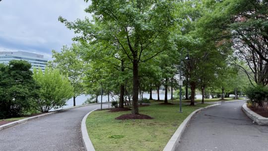 Photograph of two pedestrian paths next to the Charles River, each winding their way through some leafy green trees.