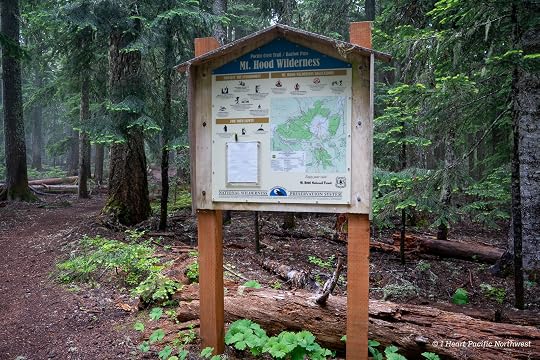 Barlow Pass - Pacific Crest Trail hike