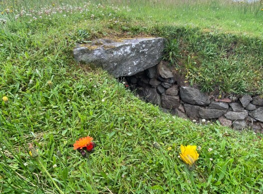 Culsh Earth House with wildflowers