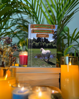 The Horses of Saddlers Ranch: Cloud by Alison Bellringer