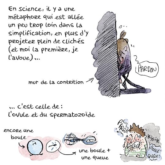Ovule-couleurs-Pierre_02 copie