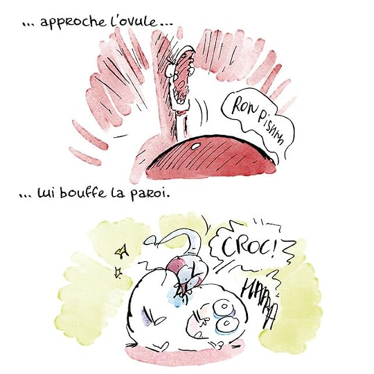 Ovule-couleurs-Pierre_08 copie