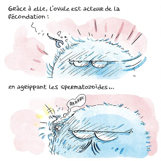 Ovule-couleurs-Pierre_16 copie