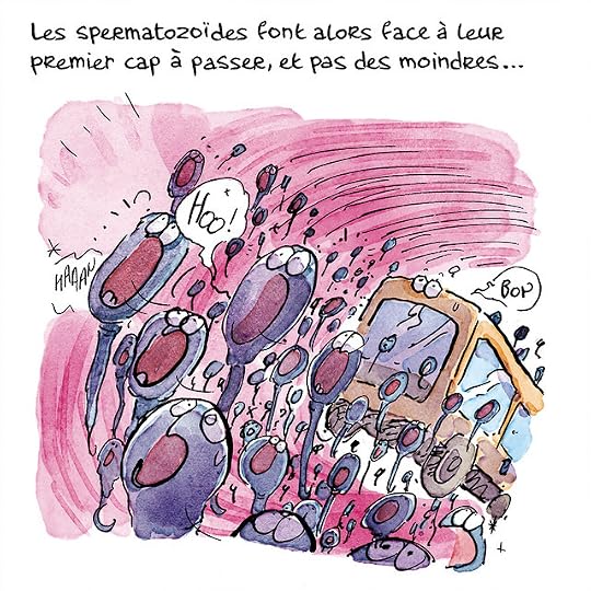 Ovule-couleurs-Pierre_34 copie