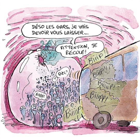 Ovule-couleurs-Pierre_36 copie